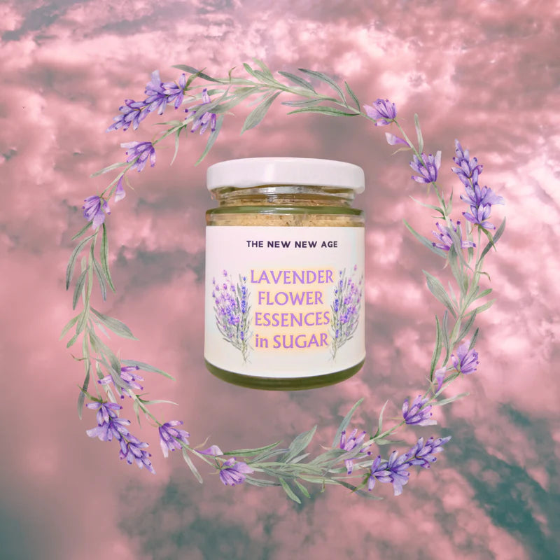 Lavender Flower Essences in Sugar