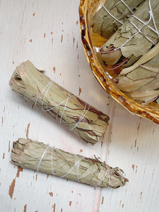 Eucalyptus Smudge Bundle