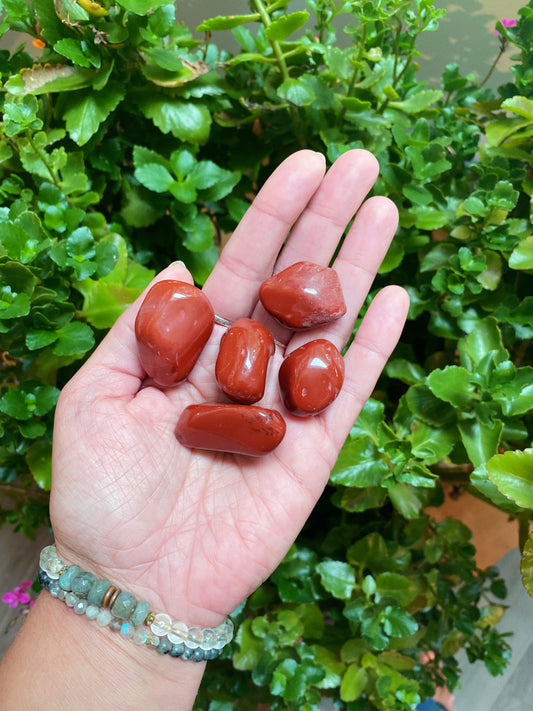 Red Jasper Tumbled